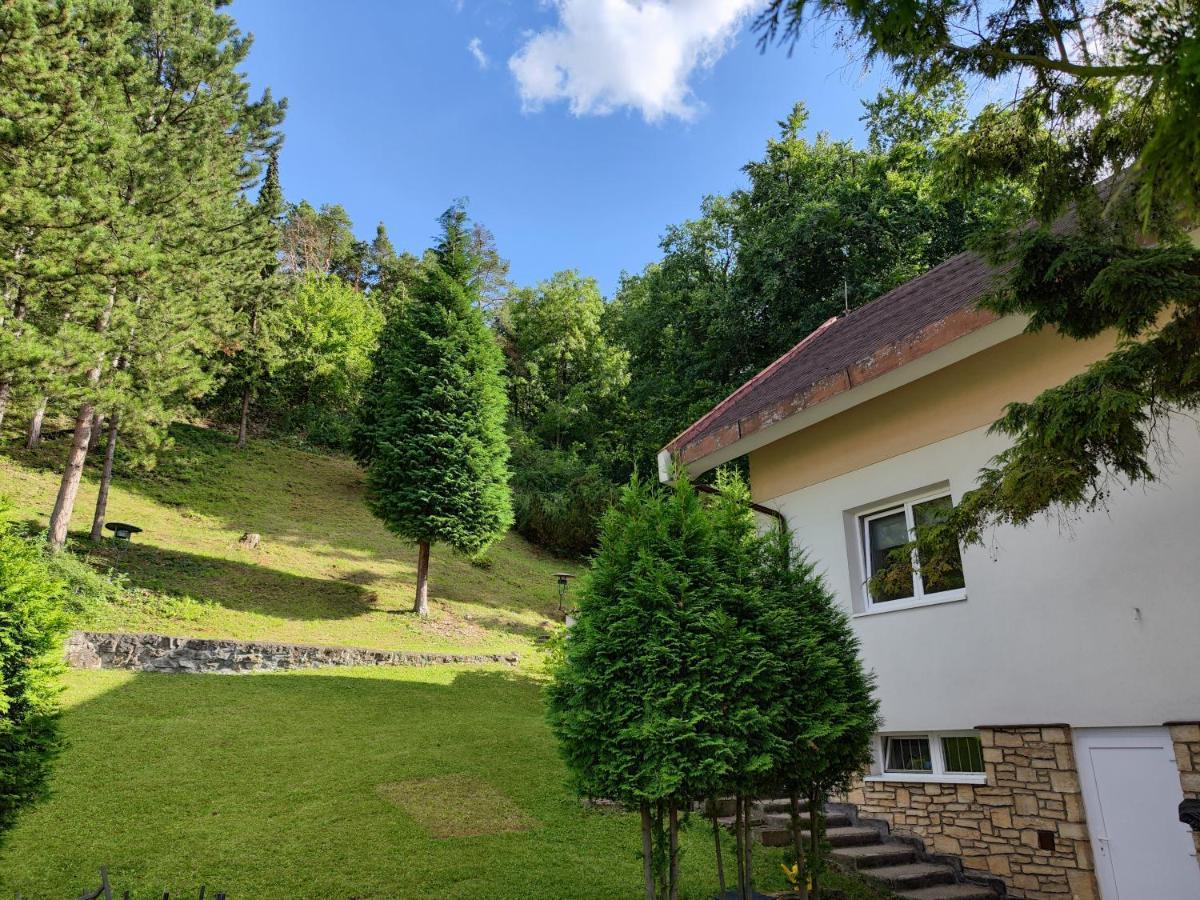 Vila Prag Exteriör bild